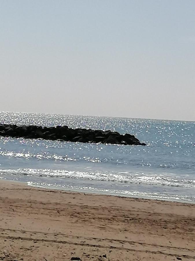Studio Cabine Valras Plage 300M De La Mer Extérieur photo